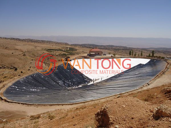 Geomembrane construction