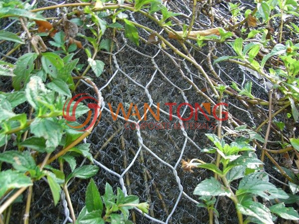 Construction of three-dimensional vegetation network