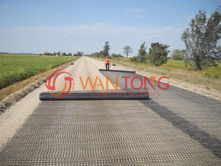 Polyester Geogrid 