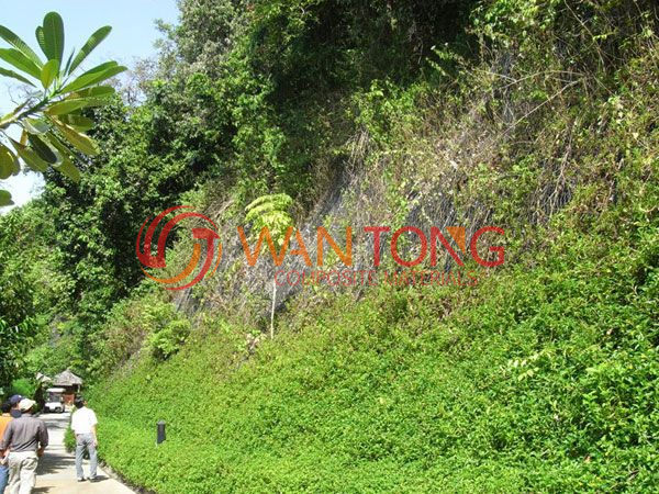 三维植被网施工