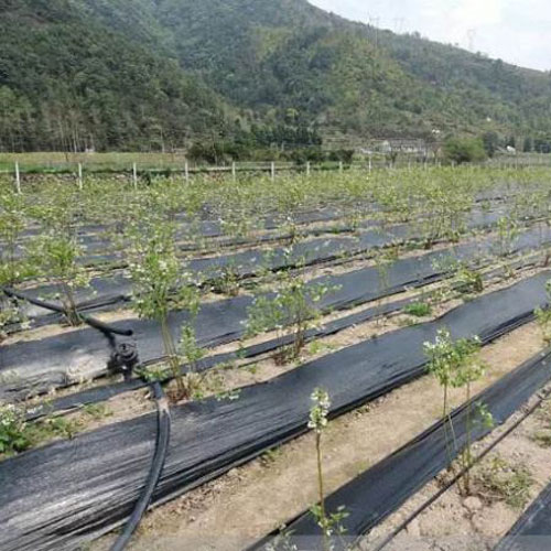 万通除草布的使用方法