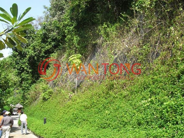 三维植被网施工